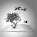 book.jpg
