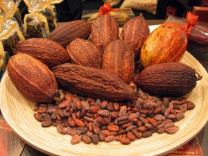 cocoa-pods-and-cocoa-beans